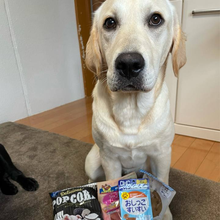 Ba1f170c 20ce 4cdb a131 1e70cd7e2ba6 1623653122510