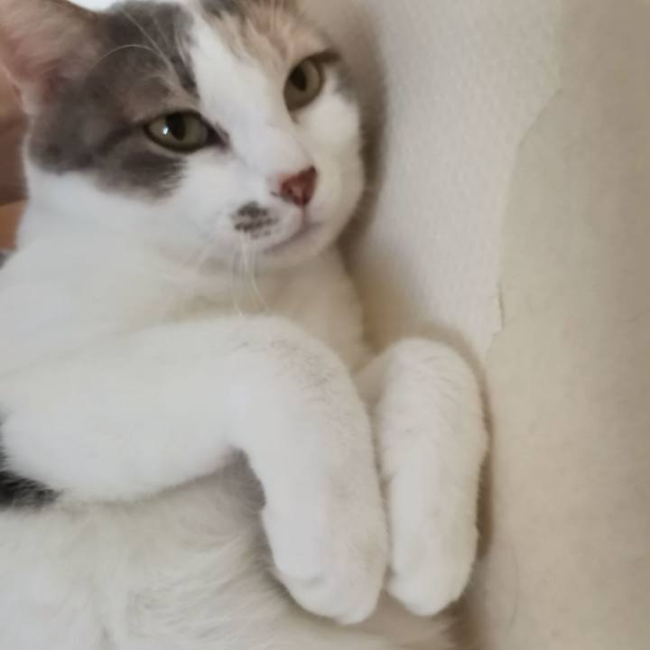 Ba1f6016 30aa 409b b506 2a83f1aeed96 1631353202732