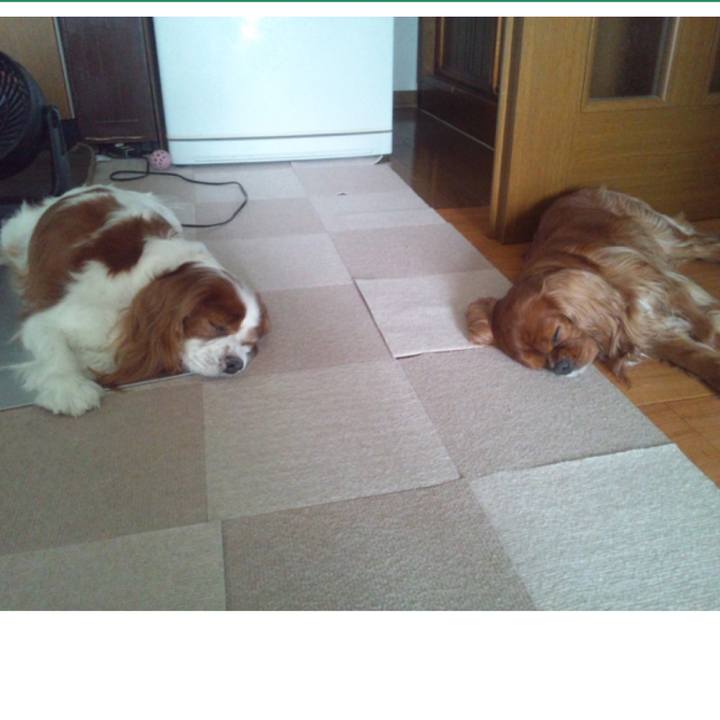 Ba1f904e d20c 42b5 bde9 4d81336320c4 1563150589413