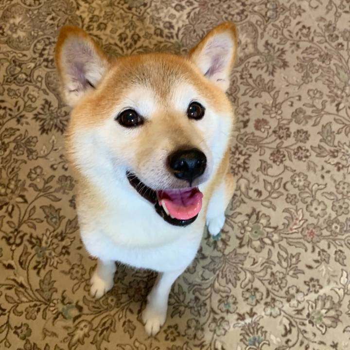 Ba1fc36c d295 42a5 9aba 58aa2436ce5e 1693394635542