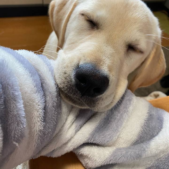 Ba1fd4bb 30a2 4788 8376 3207dbdf6c19 1614312107488