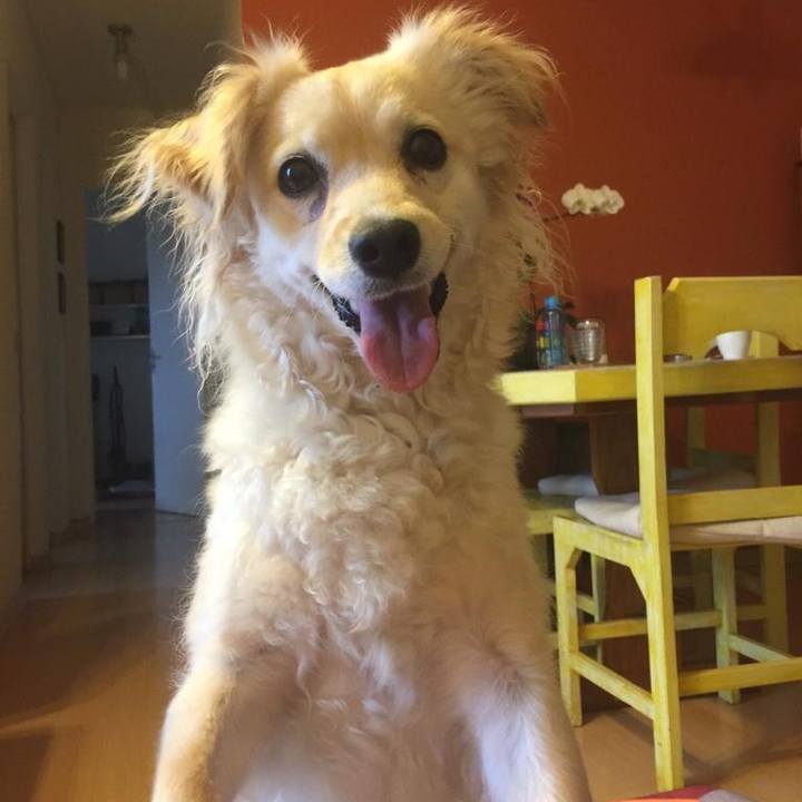 Ba1ff1d4 acdd 41e1 9182 38bf2b5c27b1 1544697411442