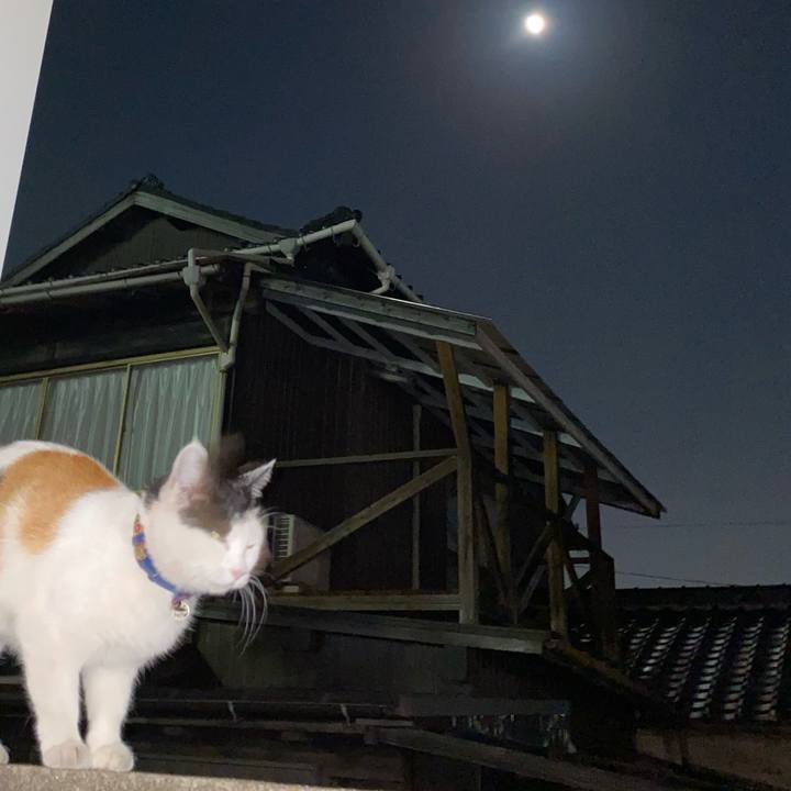 Ba2035c0 dd49 4e83 bdff b19a8b11eede 1636969243961