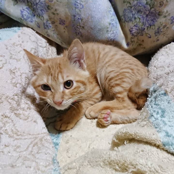 Ba209a37 bf42 48ea b230 6928a030fbda 1632916445656