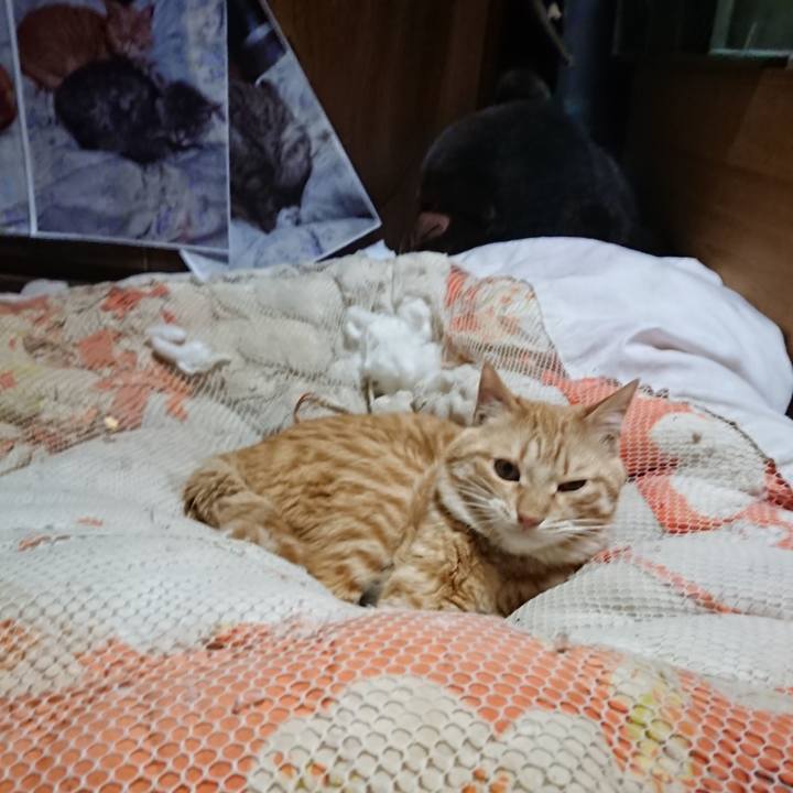 Ba20d20d 699e 4d1b 9e11 20ed4e8a1e7a 1646339176772