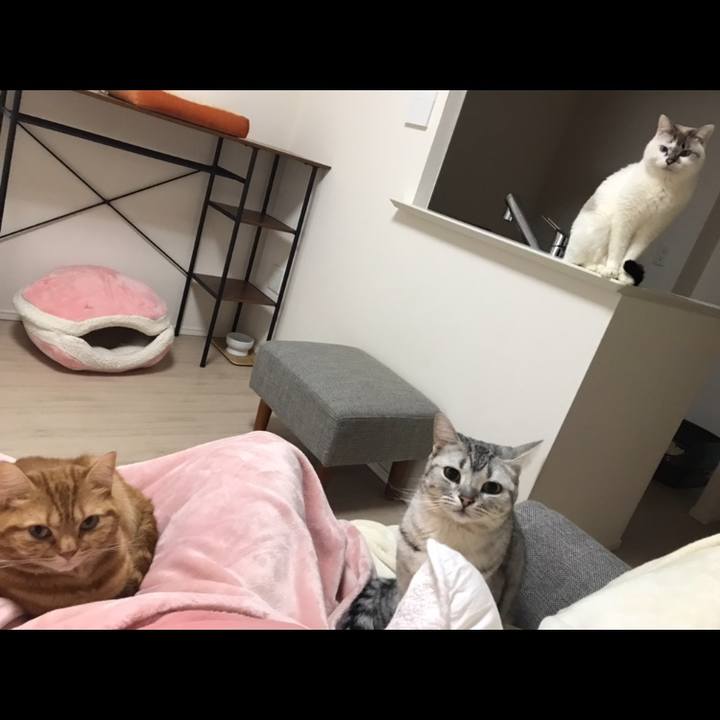 Ba20e3d0 8cd1 4760 9aff 063070e34dff 1551694188039