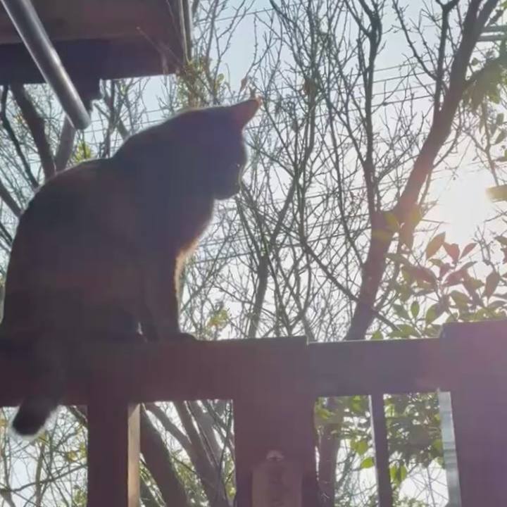 Ba218de2 331a 4a2c af52 dbeb56e4f335 1764124054274