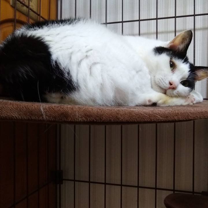 Ba21c830 35b8 44a3 96f3 f53525576e89 1563793879172