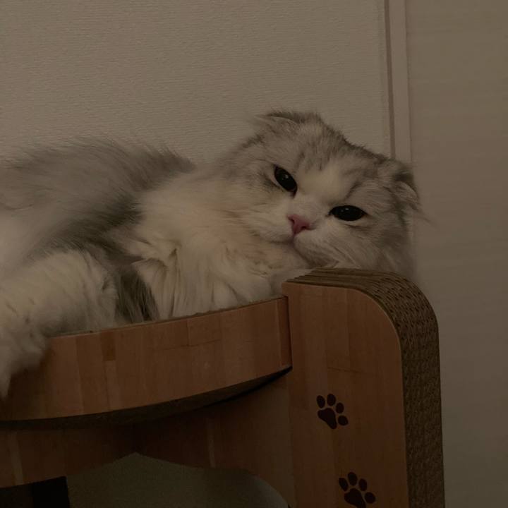 Ba21c903 4ada 464a a810 1c08630dd565 1650628807973