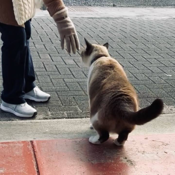 Ba21f0c1 4fbe 4e25 b867 8a44d950c752 1735364975034