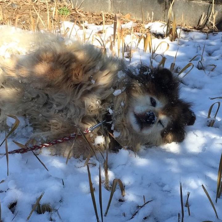 Ba21fb12 b1e7 466d aae3 ae8b142c847a 1599527675759