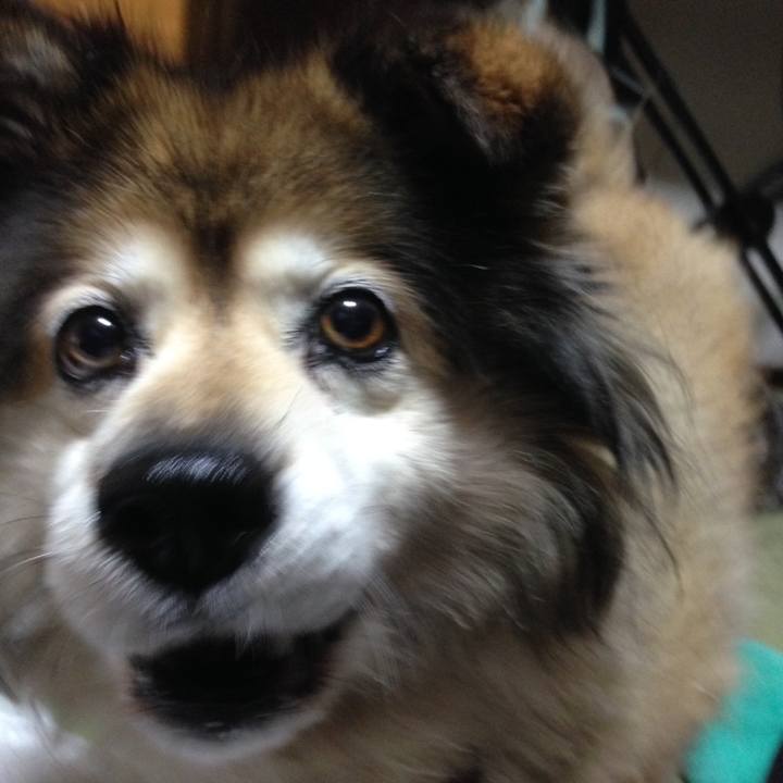 Ba220195 8540 47a6 b600 ee2000f80098 1564614994184