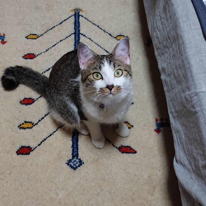 Ba227a31 24a6 4a47 b504 da7370363640 1563926636224