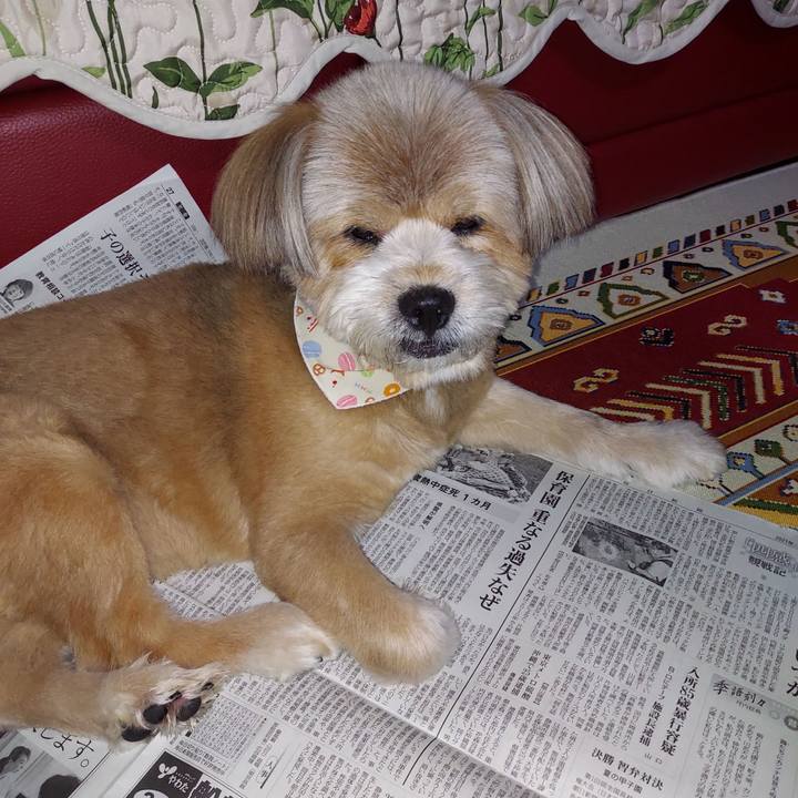 Ba22802e 1edd 439b b97e 363df0384b86 1630235372839