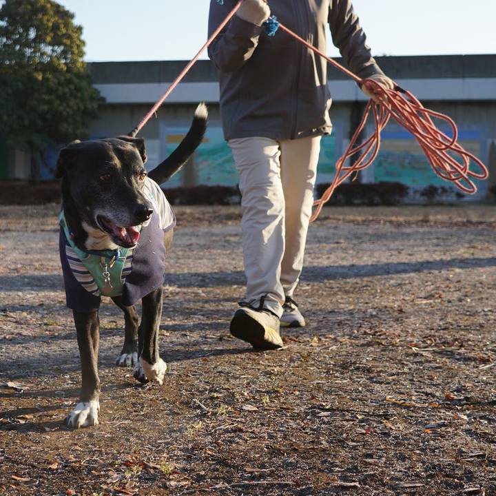 Ba22971a bd84 4691 87e1 db1ff2604223 1769993575172