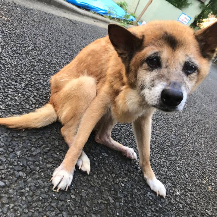 Ba22b174 59aa 43e0 9992 d471e3b9df6f 1564958078638