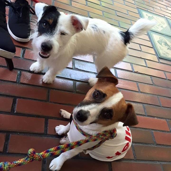 Ba22dd84 6edb 4815 8e52 809b98598bf2 1689084435725