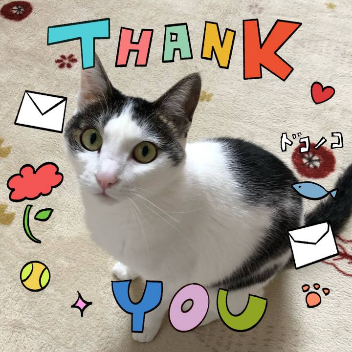 Ba22f41a e5c3 411a 93c3 21cee1eb911d 1715515474156