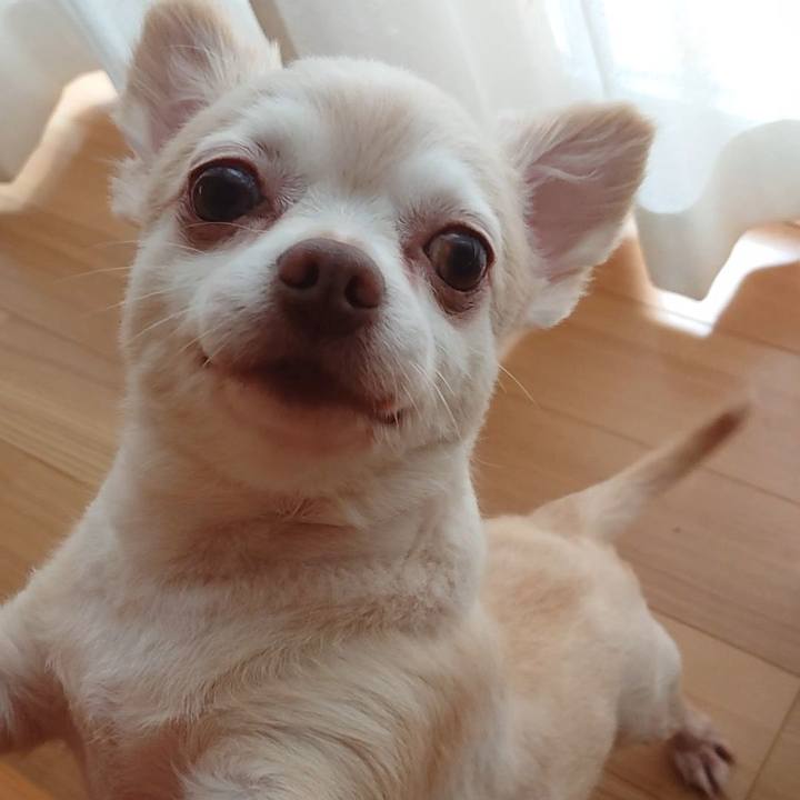 Ba233394 add1 40d6 a117 42bcf7ecc7be 1565093583263