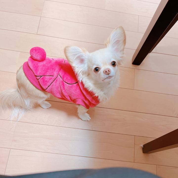 Ba23c049 fe6c 466d 96f0 5ce970255314 1674460670546