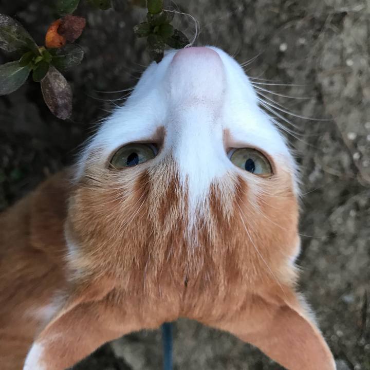 Ba23ea3d 090e 40fb 8a7b 3c32f269cbf1 1521638237005