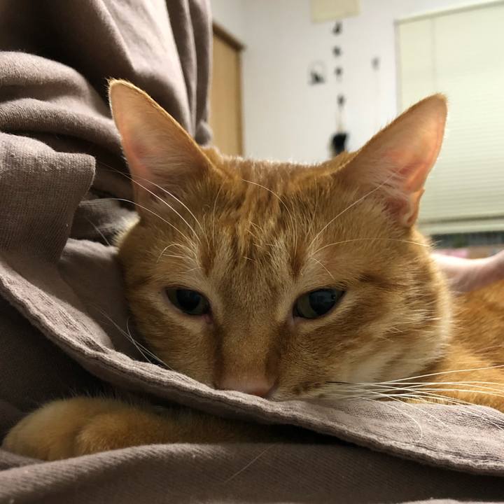 Ba24035e 1c6b 47d9 8da2 23d19f02df56 1608289189166