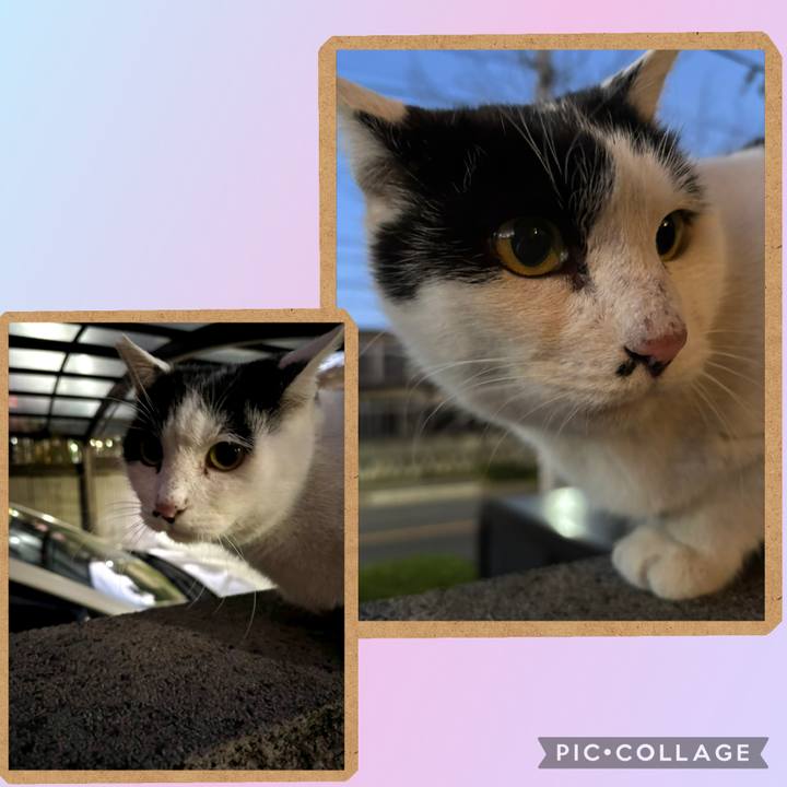 Ba241e3b 3c94 4fd5 a803 5ee8dd226a8e 1765793330046