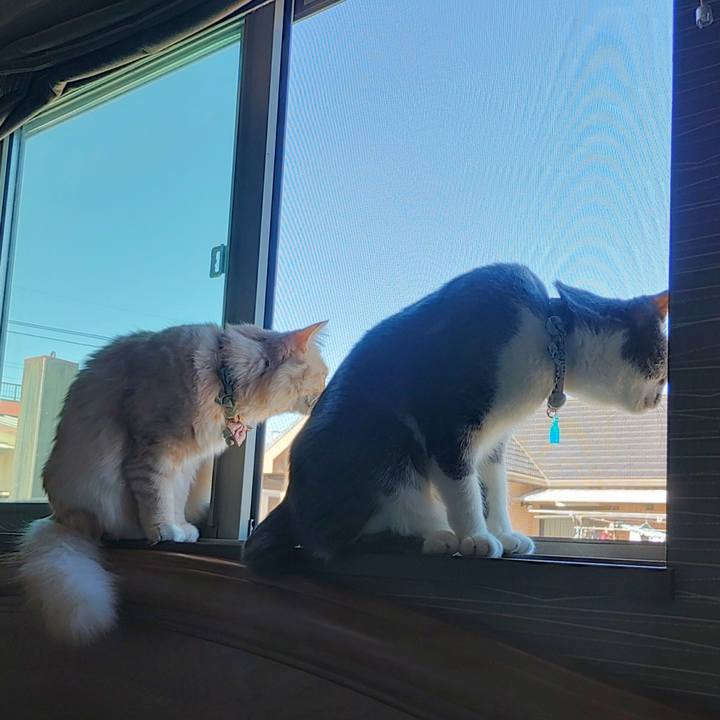 Ba2424bf c8d3 4134 bd12 08d8cb87ad3a 1702014828676