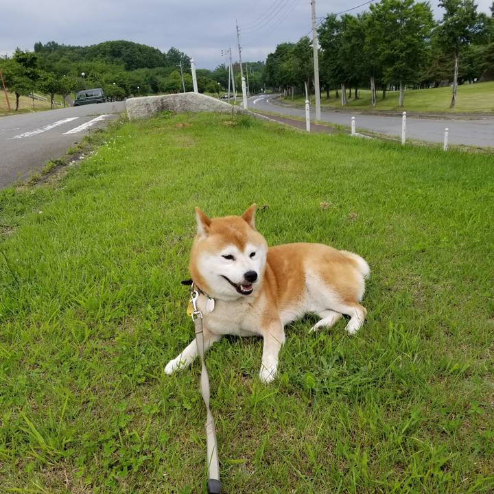 Ba245f4f 0756 4439 8745 c3ff9f148afe 1622274861489