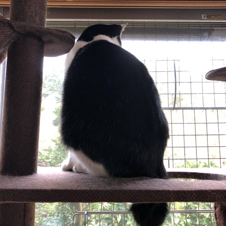 Ba2469d8 ff9e 4f4b a959 6eb12e9179ee 1572215889614