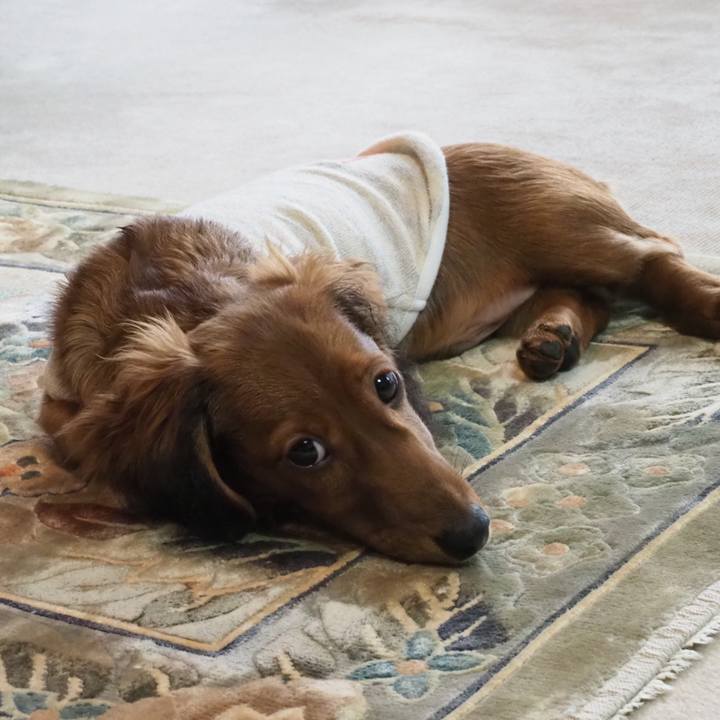 Ba24751d 8084 478c ba7d 64df4cbfcbdb 1699245386593