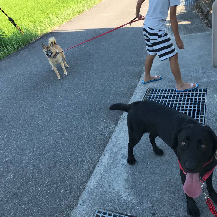 Ba24bfa8 24e3 485e a5e7 b9f55a8391d7 1535097514425