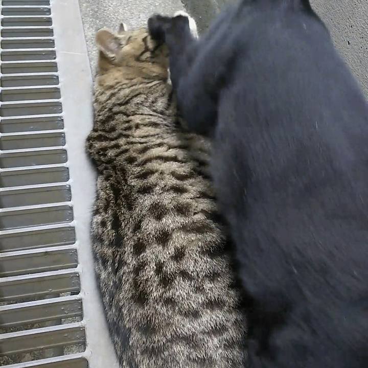 Ba24ca47 2efc 4bfc b318 c6b2b1504fb4 1556847603397