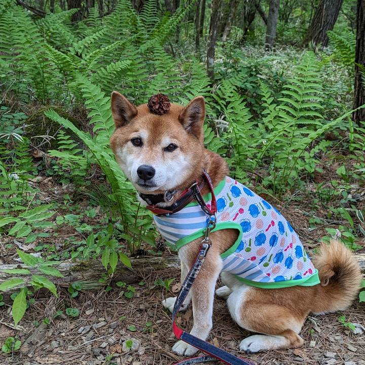 Ba24e052 08ae 44c5 babb 323c9c700547 1716823393543