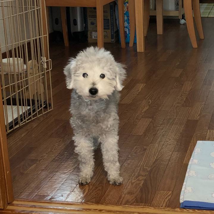 Ba250f8a cef1 4d0c b388 5330468cf4c7 1619581209061