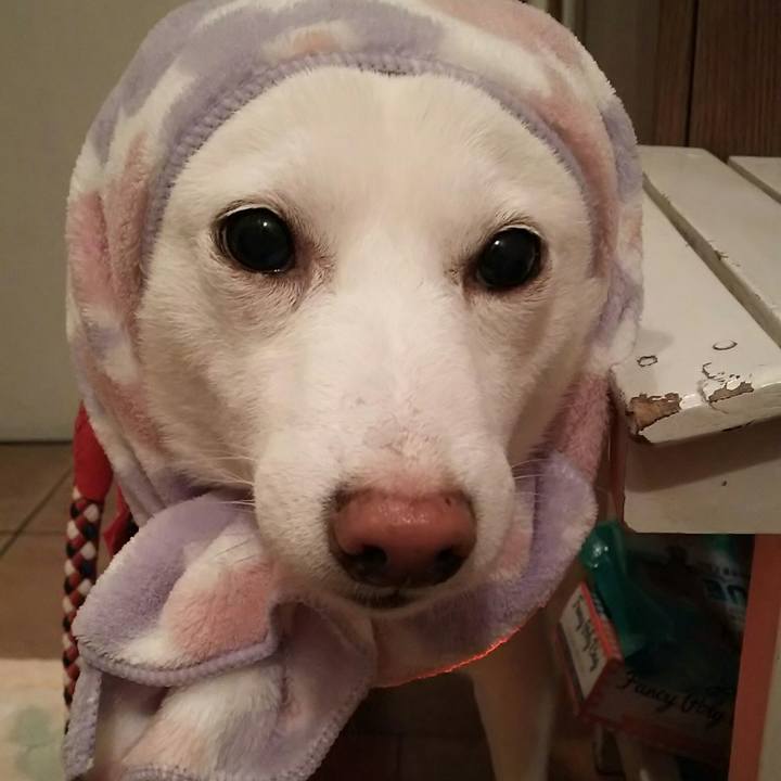 Ba2560d4 2372 43a8 9170 ccaac6a65035 1574928754210