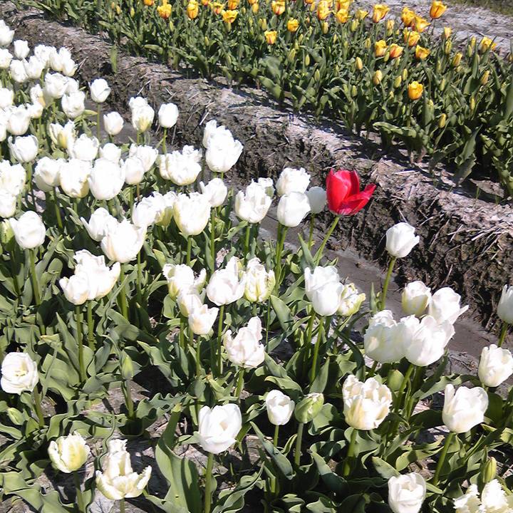 Ba256976 8658 4f68 83a7 14b2675a1583 1528632670834