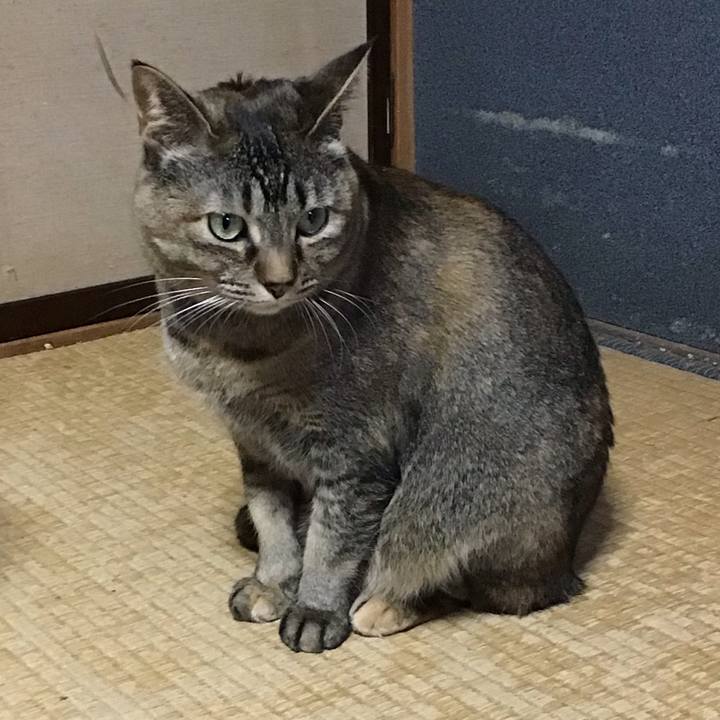 Ba257509 7d64 4831 89eb 899dacbec6da 1678787218180