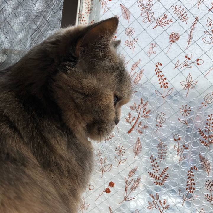 Ba257ebc ad9c 4969 a649 abfb0b660259 1673611693126