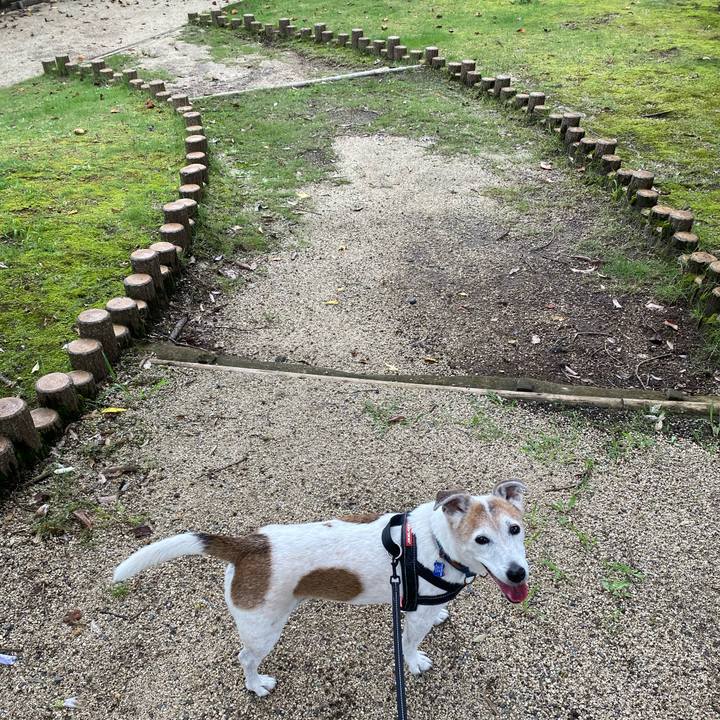 Ba25813f ff7e 4aa8 a2e2 3329068fefda 1631942614395