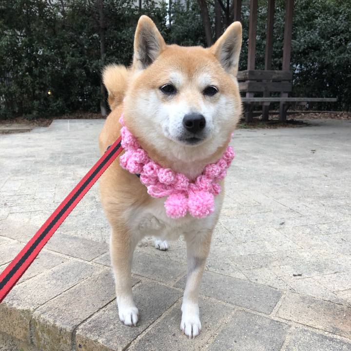 Ba25bcf2 7226 4ed0 b445 6bd1dc1b08fc 1548919800622