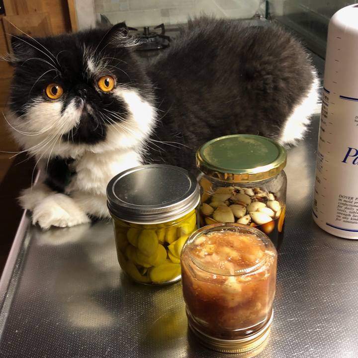 Ba25c27e 3138 49b3 ab26 c81eda11da19 1568626358347