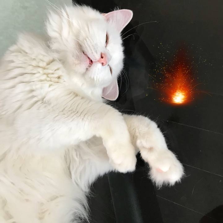 Ba25d60f 8dac 41eb a215 7c428ec356ba 1565602698598