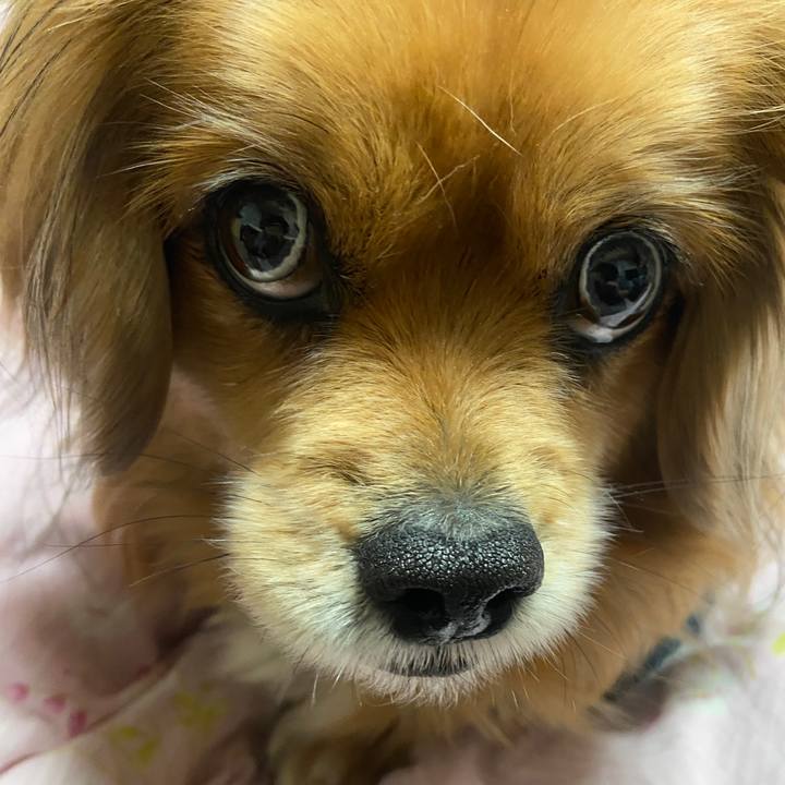 Ba25da3d baf7 4f28 b94e 88ba8ed23e40 1675976832596