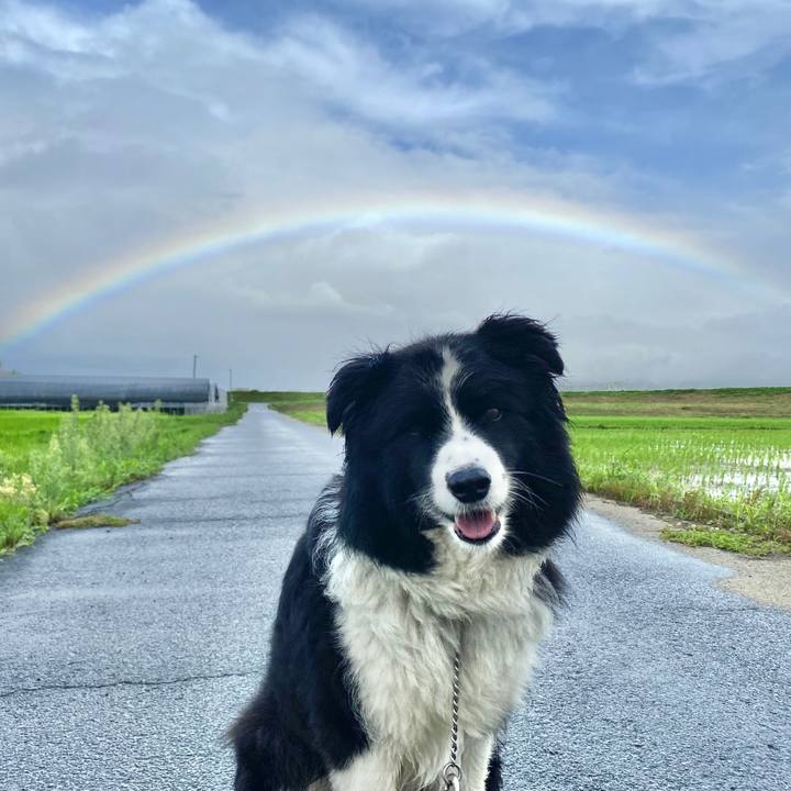 Ba25f08e 66eb 463e 8397 fa0e39529c9a 1595634936727