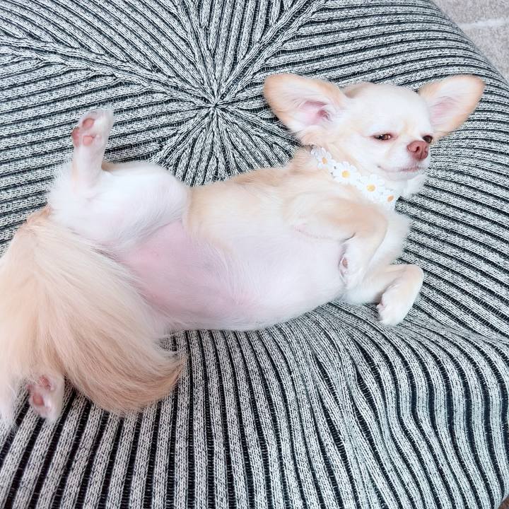 Ba2606f8 3352 4ef6 88bc 3fdc19e849a4 1688388879297