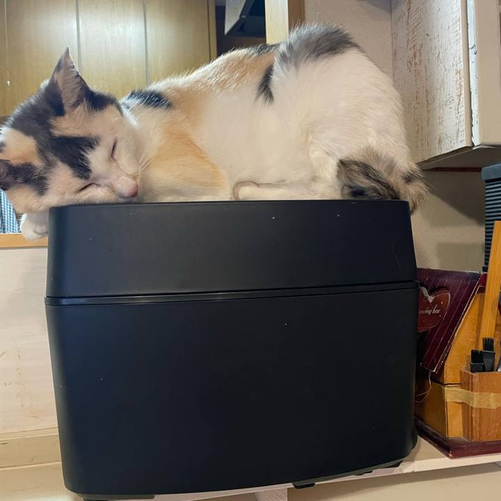 Ba260aea 5378 4df0 942a 0747fd5a36d4 1761221554099