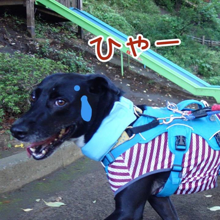 Ba260f9e da9d 4fe0 9df8 7a933cd14dc4 1627949866107