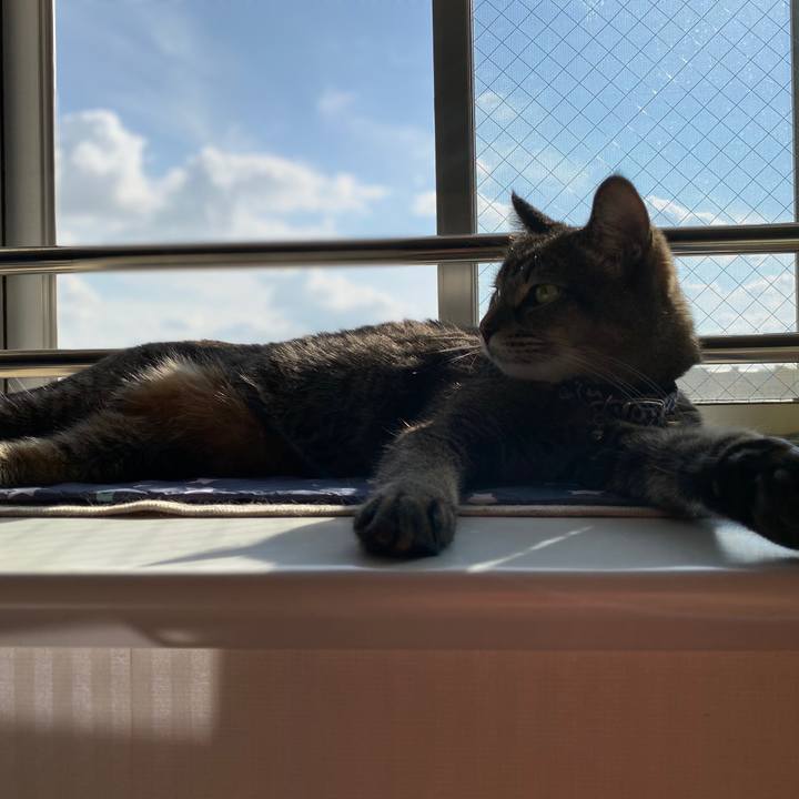 Ba261034 4ba8 4f93 9ce7 14a5effda564 1602914100145