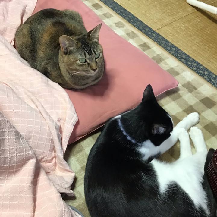 Ba261c7e ca1a 4937 beb1 9c0bbb694a1b 1640930536091